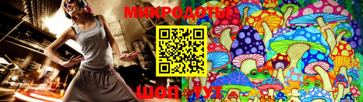 Псилоцибиновые грибы Psilocybe  Вход с VPN  Ковров 
