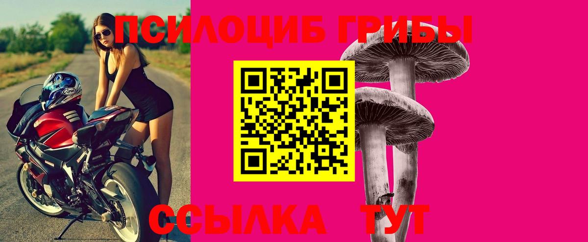 Псилоцибиновые грибы MAGIC MUSHROOMS Ковров